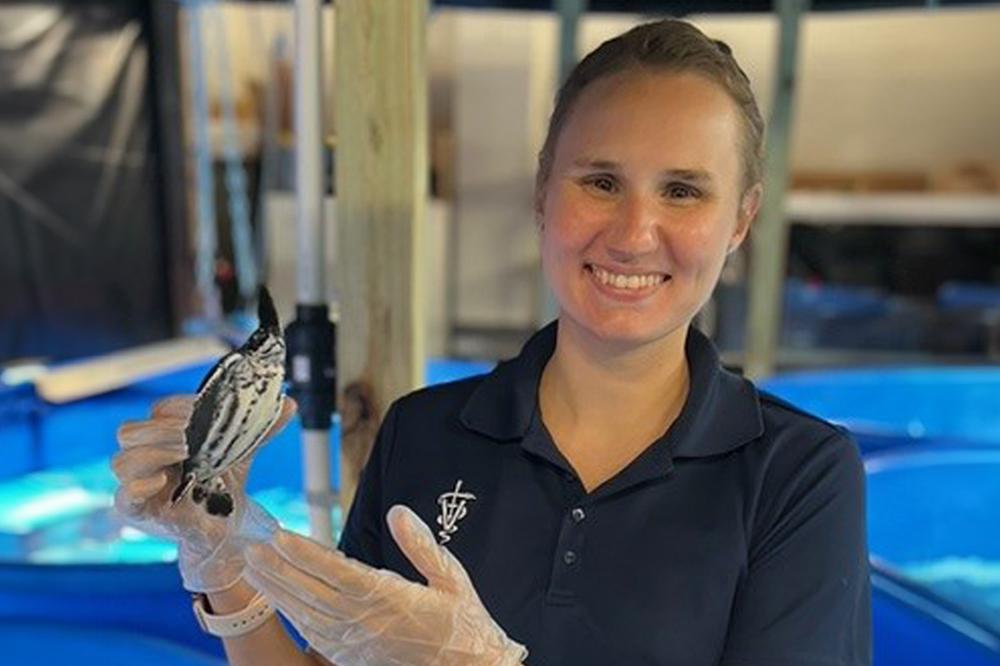 Dr. Samantha Kuschke Jumpstarts Career in Academia and Sea Turtle Research Through New Postdoctoral Program